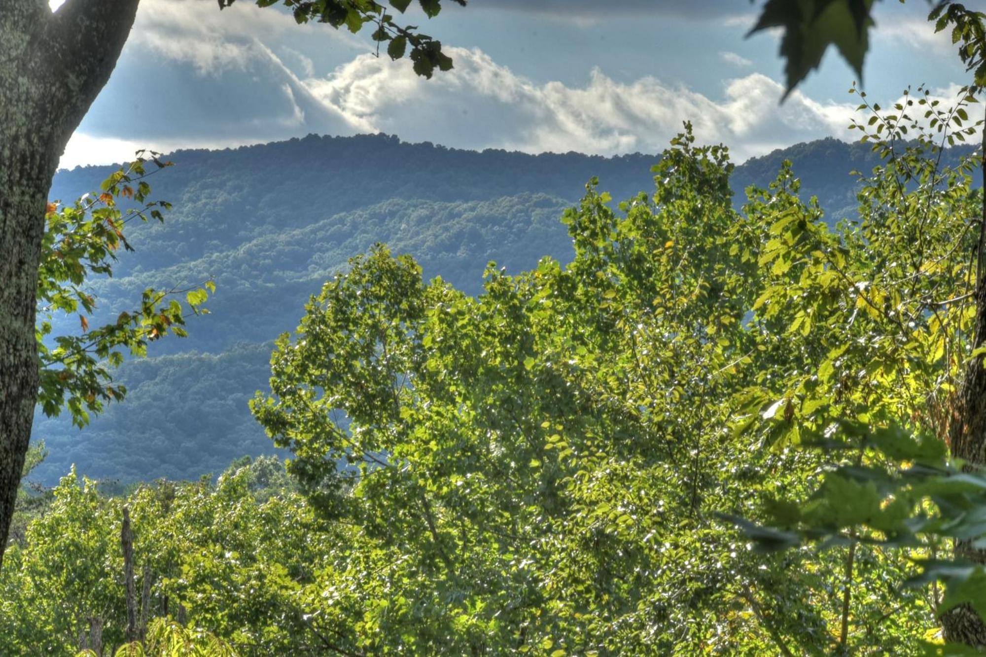 Bearfoot Ridge Wood-Burning Fireplace Cozy Hot Tub Serene Views Ellijay Exterior photo